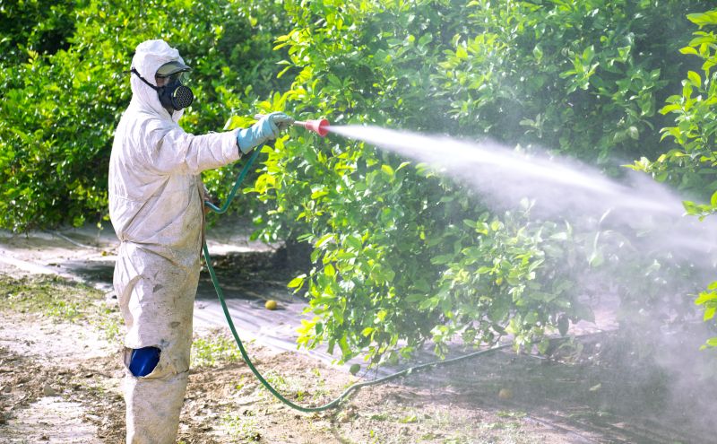 Commercial Fumigation in Clarksville, TN