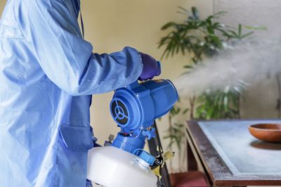 Pest Fumigation Service in Bellingham, WA