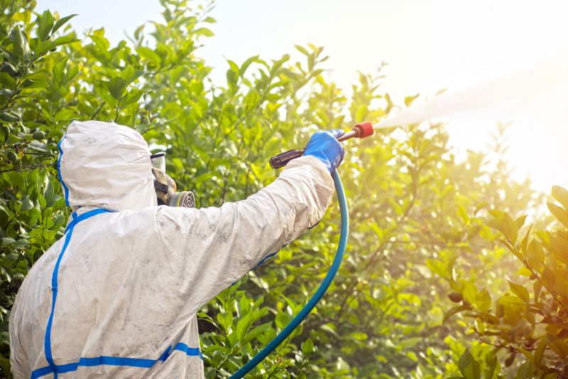 Pest Fumigation Service in Fredericksburg, VA