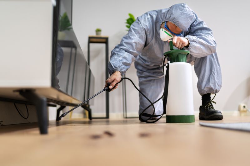 Roach Fumigation in Wilmington, NC