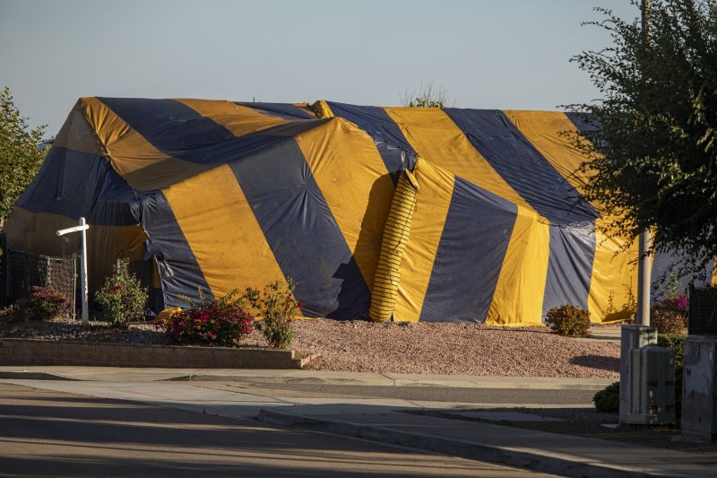 Termite Tenting in Asheville, NC