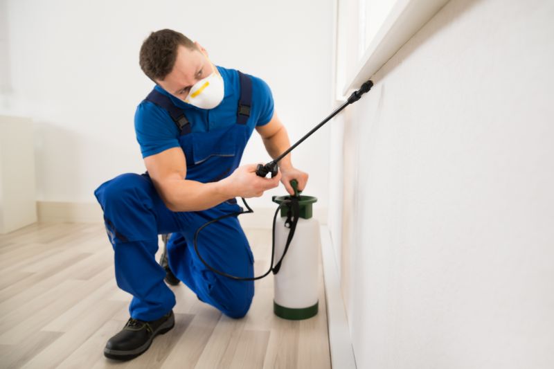 Bug Removal Service in Arlington, TX