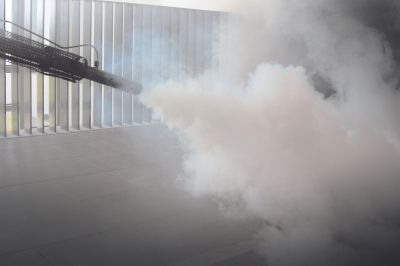 Post-Fumigation Inspection