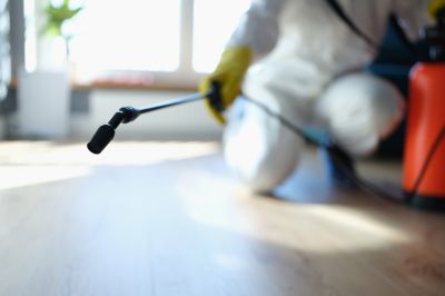 Pest Fumigation Service in Kalamazoo, MI