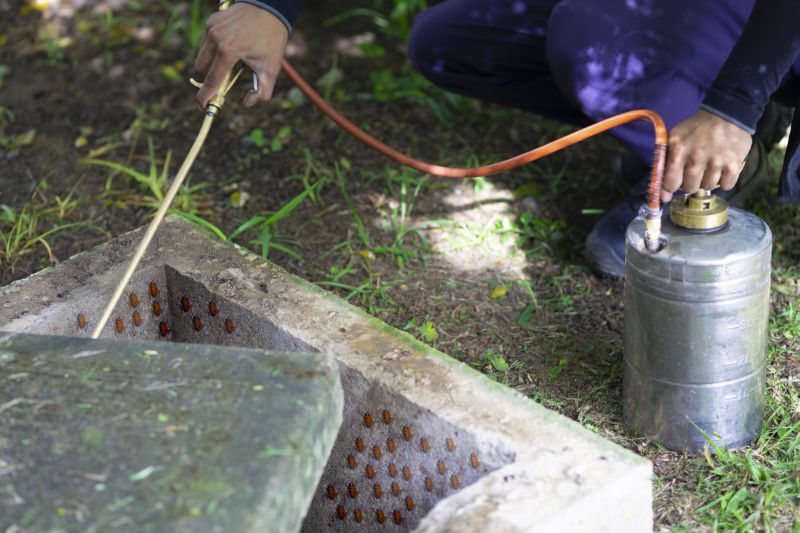 Roach Fumigation in Myrtle Beach, SC