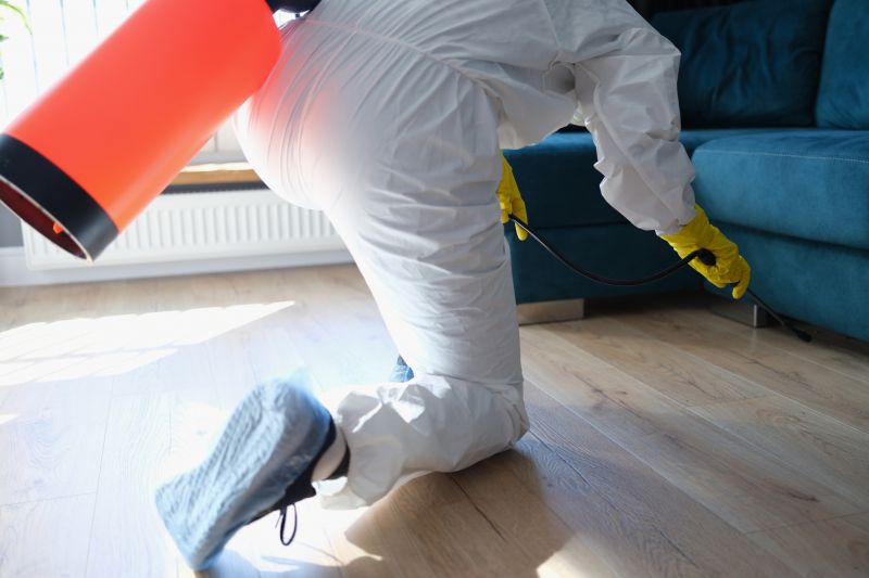 Silverfish Extermination in Frisco, TX