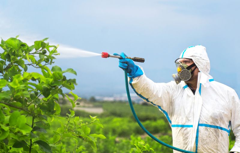 Spider Fumigation Service in Katy, TX