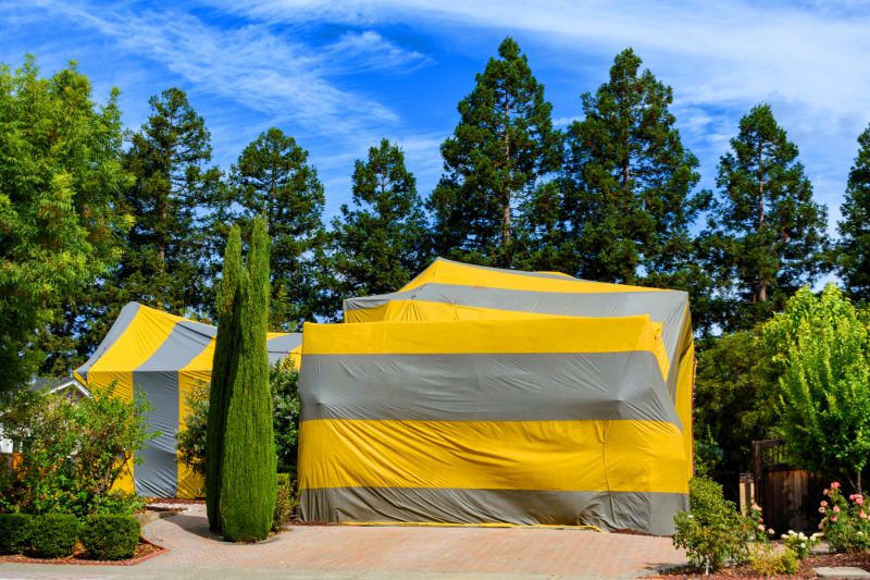Termite Tenting in Katy, TX