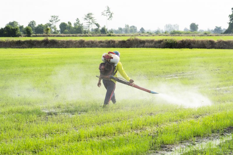 Types Of Pests That Require Fumigation Treatment